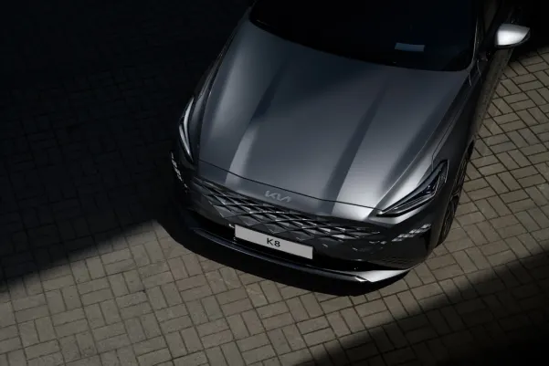 بينجو بيلي كازينو تطبيق أندرويد/آي أو إس